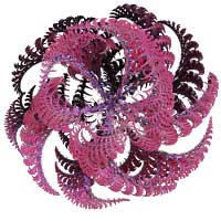 Itérations : la génération fractale - Fractales - symétrie, fractale, organique