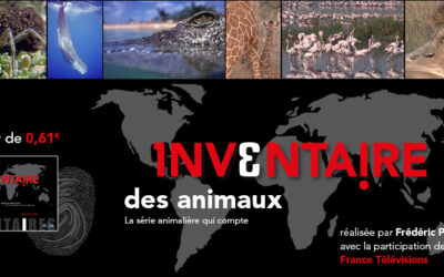 L’inventaire des animaux : plongez dans l’arche de Noé !