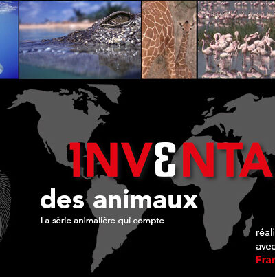 L'inventaire des animaux : plongez dans l'arche de Noé ! - Médias - information, article, diffusion