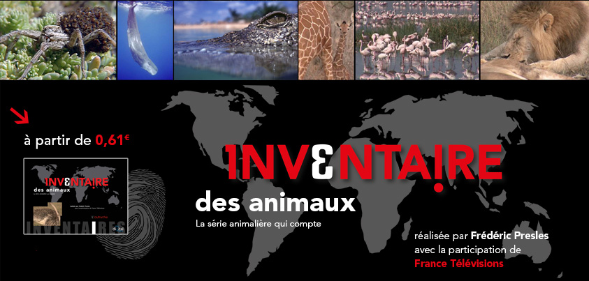 L&rsquo;inventaire des animaux : plongez dans l&rsquo;arche de Noé !