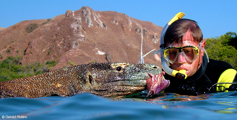 francis-Le-Guen-avec-varan-de-Komodo
