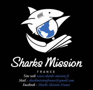 Sharks Mission France