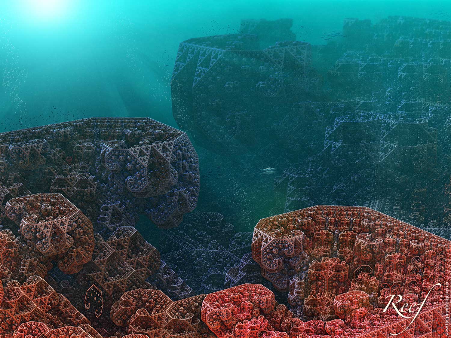 reef