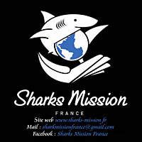 Sharks Mission France : le kit requins