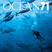 Océan 71 : le nouveau magazine de la mer