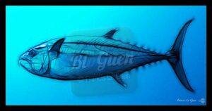 PELAGIC - Collection Ichtyos - poissons, aquatique, marin