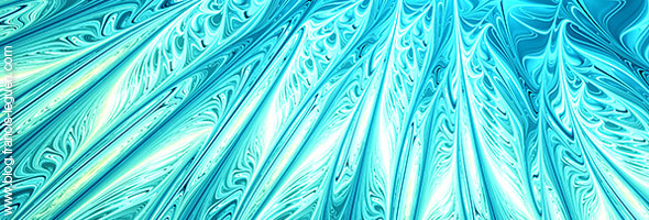 dendelion detail