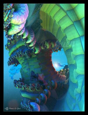 SPONGES - Collection Abysses - abysses sous-marines, profondeur océanique
