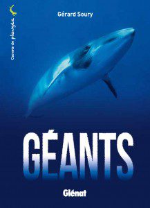 geantcouv