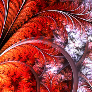 compression d'images pour le web : utilisation des fractales