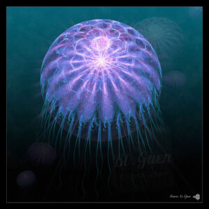 MEDUSA - Collection Abysses - abysses sous-marines, profondeur océanique