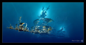 Fractales : de Sanctuary à USS Julia - Boutique fractale - art mural, impression, géométrie