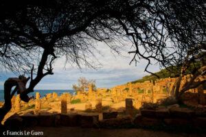 Algérie : les thermes romains de Tipaza - Algérie - composition, moment, forme