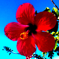 Philippines : Fun Explorers - Philippines - ambiance, moment, couleur