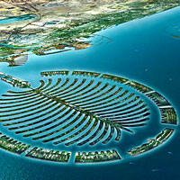 Plongées dans le Golfe persique : Oman et Dubaï - Dubaï - détail, netteté, couleur