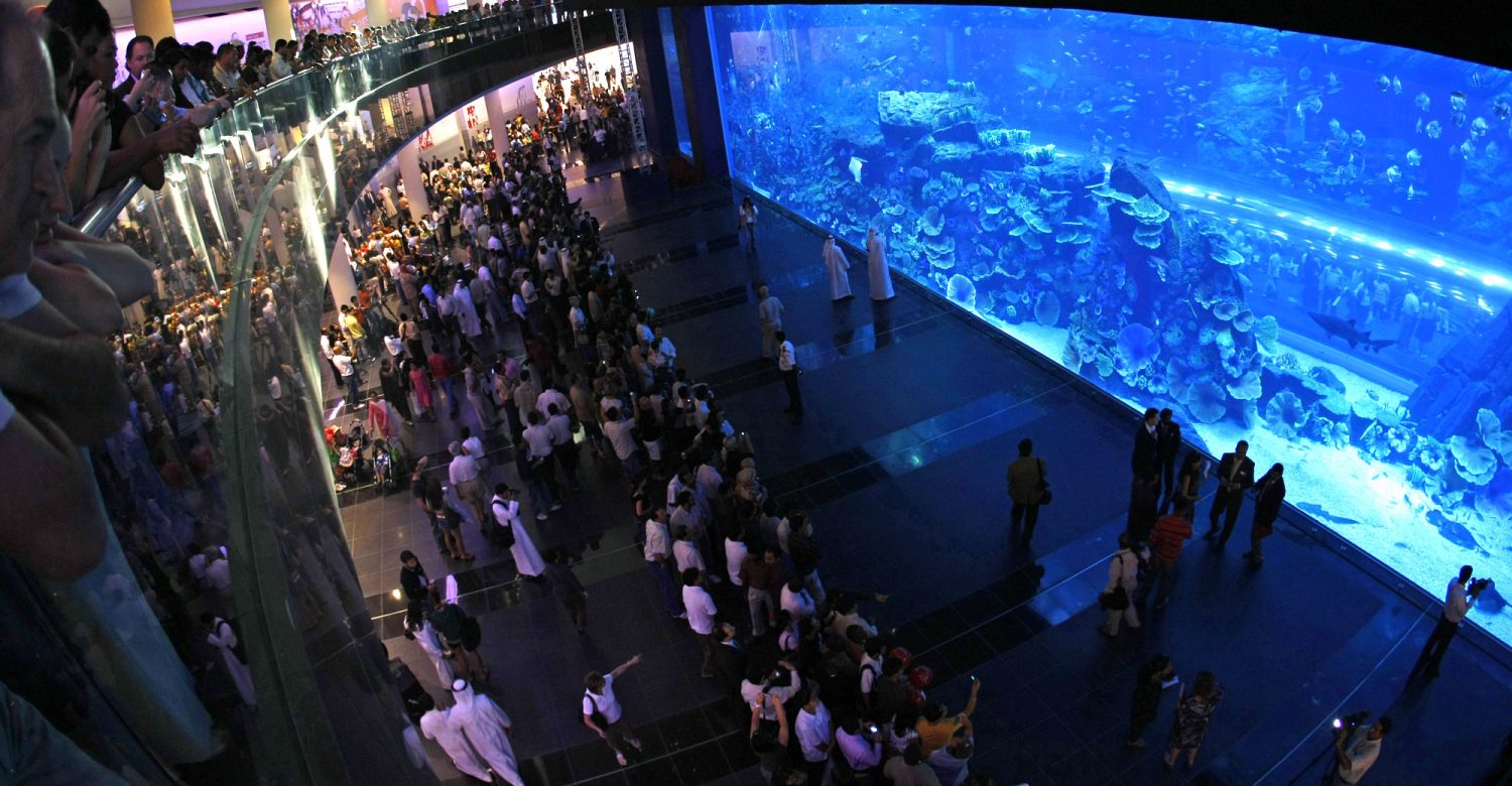 summer_in_Dubai_big_tcm17-8102