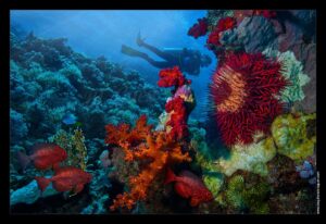 Croisière en mer rouge sur l'Exocet - Egypte - visuel, lumière, couleur