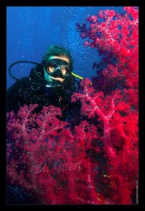 Croisière en mer rouge sur l'Exocet - Egypte - visuel, lumière, couleur