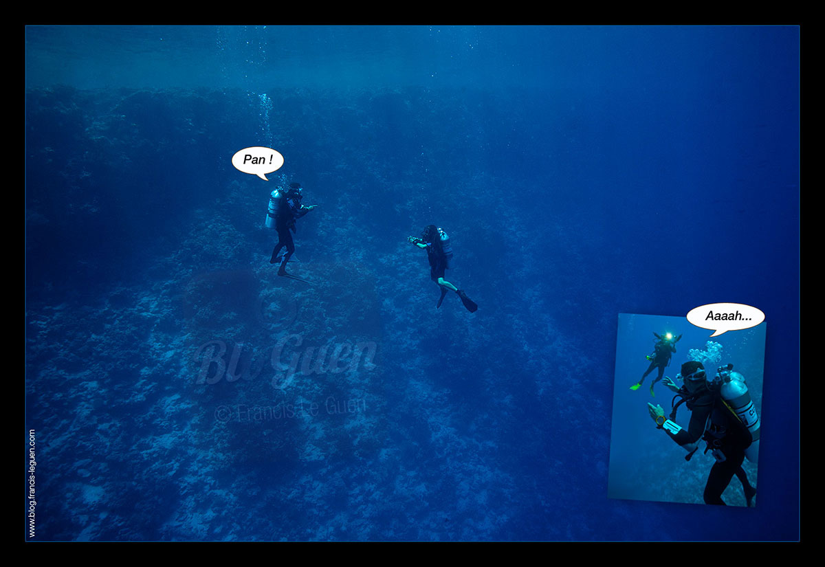 Exocet Diving Attitude plongée Egypte pan