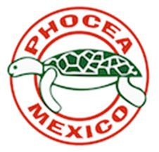 Mexique : stage photo VIP au Phocea Mexico avec Francis Le Guen