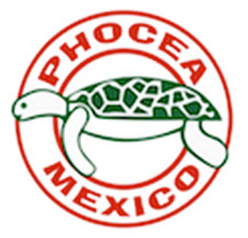 phocea