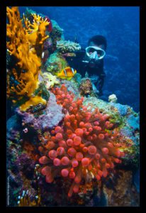 Croisière en mer rouge sur l'Exocet - Egypte - visuel, lumière, couleur