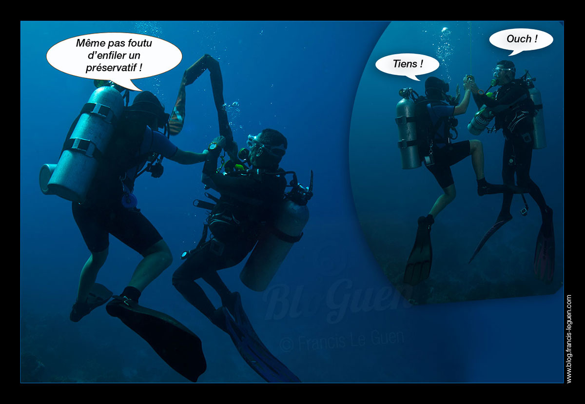 Exocet Diving Attitude plongée Egypte preservatif