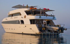Exocet Diving Attitude 