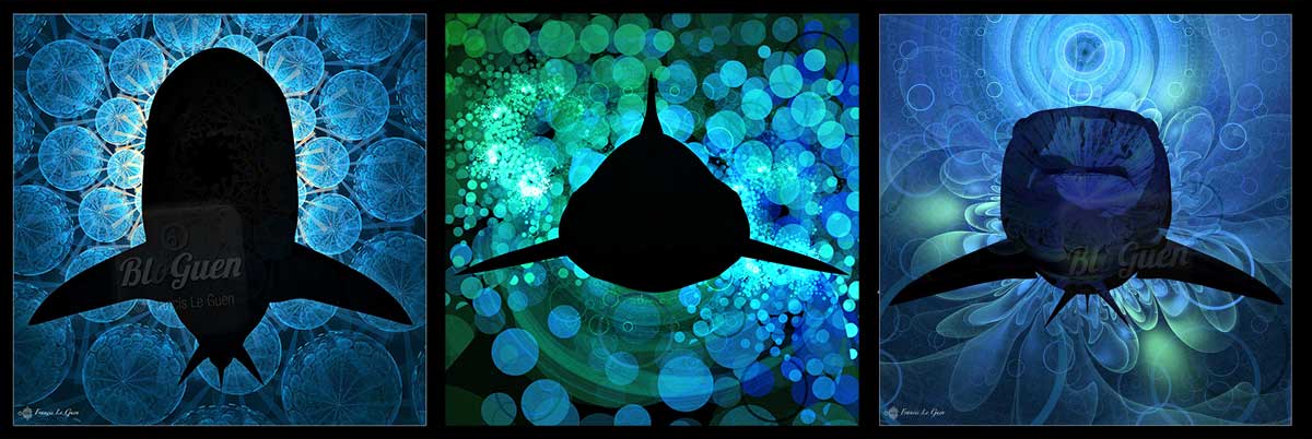 requin-tryptique requin-tryptique