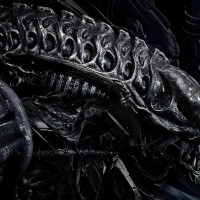 HR Giger : Alien de l'art - Boutique fractale - fractale, tirage, art contemporain