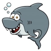 Les requins sont vraiment des cons ! - Humeur - ambiance, émotion, nostalgie