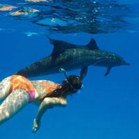 Géraldine Pahaut, l’égérie des dauphins