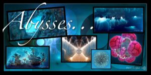 Collection Abysses
