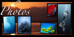 Photos