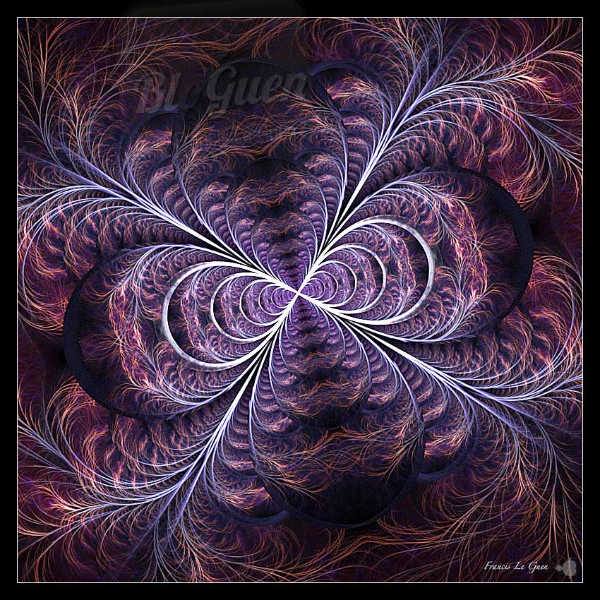 Fractales : elles bougent ! - Fractales - spirales, symétrie, mathématiques