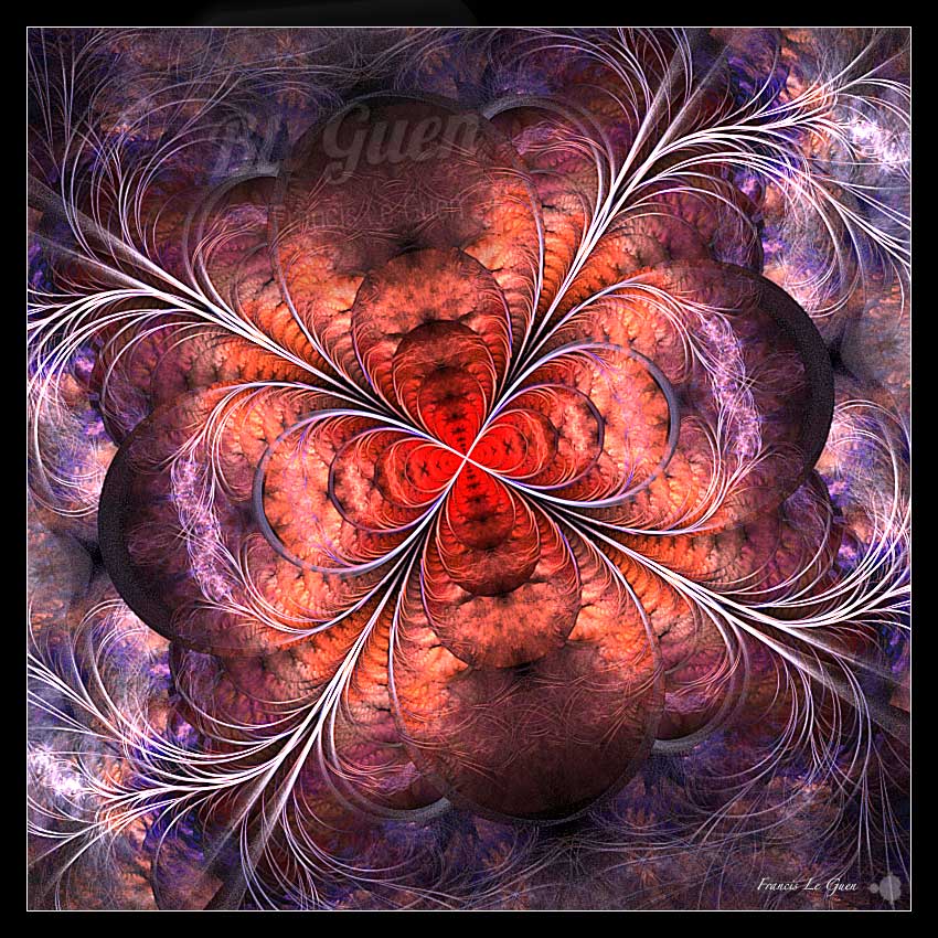 Fractales : elles bougent ! - Fractales - spirales, symétrie, mathématiques