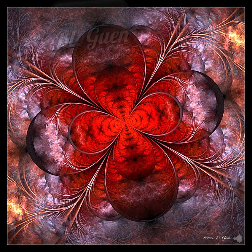 Fractales : elles bougent ! - Fractales - spirales, symétrie, mathématiques