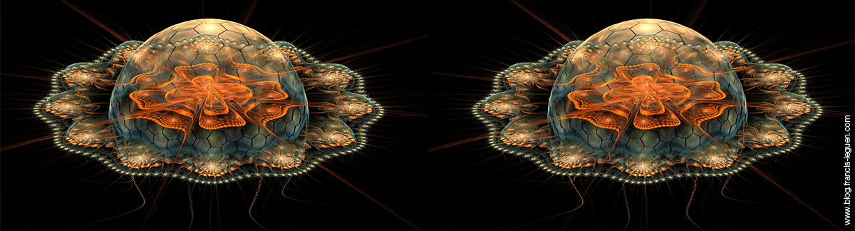 medusanaglyphe medusanaglyphe