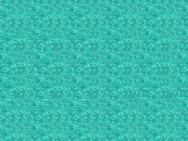 Un poisson dans la piscine ! poisson