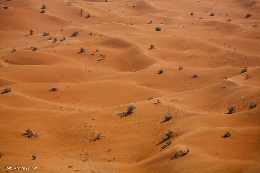 Dans les dunes interminables... Nomad Ocean Adventures