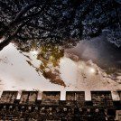 Sur le pont d'Avignon ! - Médias - presse, écran, reportage