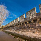 Sur le pont d'Avignon ! - Médias - presse, écran, reportage