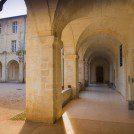 Sur le pont d'Avignon ! - Médias - presse, écran, reportage
