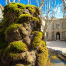 Sur le pont d'Avignon ! - Médias - presse, écran, reportage