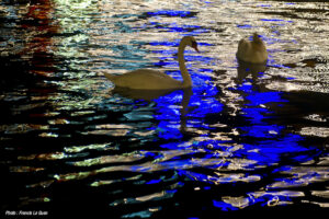 Visiter Genève en une journée avec Lyria - Suisse - lumière, perspective, couleur