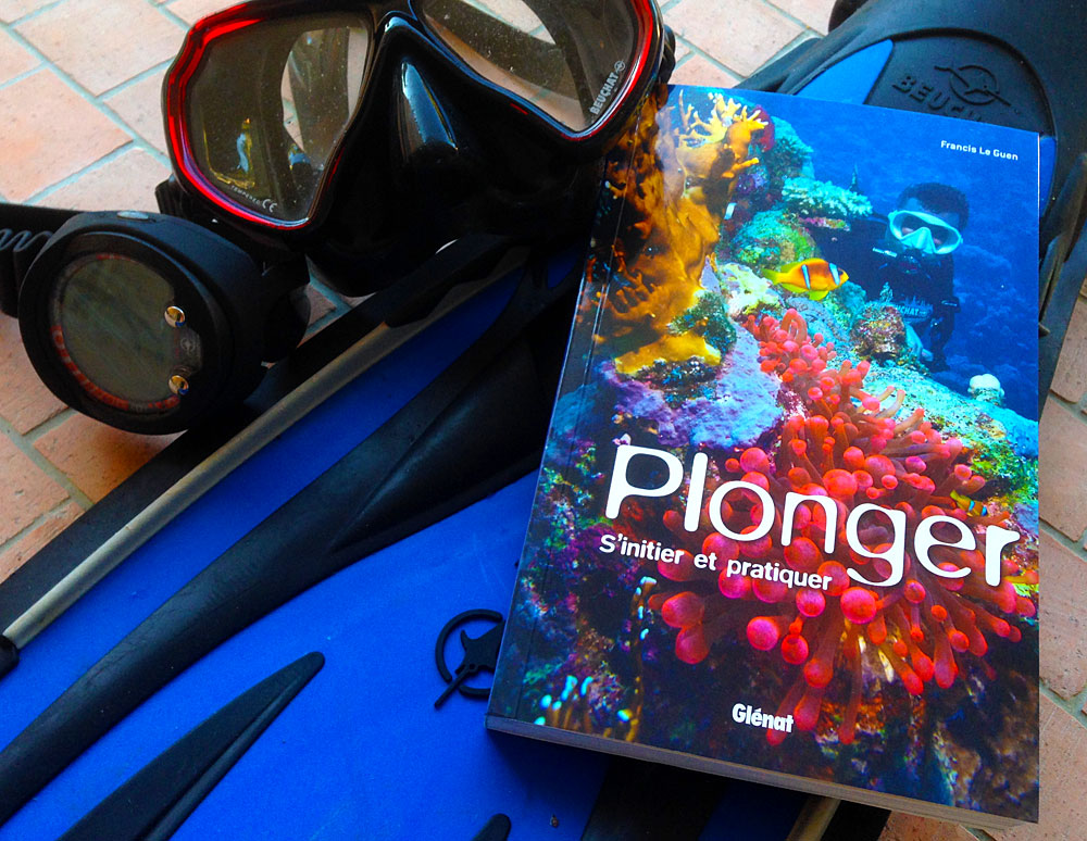 Plonger