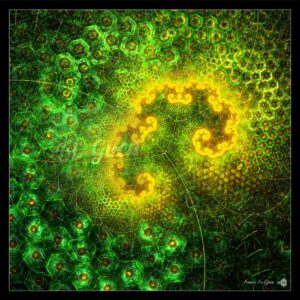 Fractales : le chardon bleu - Fractales - infini, coloré, répétition
