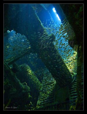 Tien Hsing - Collection Sous-marines - sous-marin, océan, coraux, plongée