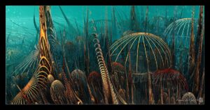 LAMINARIA - Collection Abysses - abysses sous-marines, profondeur océanique