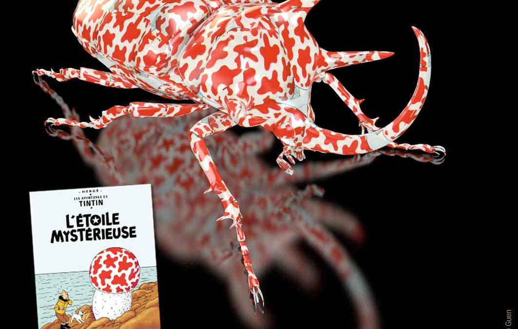 Délires d&rsquo;insectes en 3D